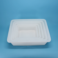 30 jaar fabriekservaring met speciale plastic ijsbakken, voedselkommen, opbergbakken voor buffetten.