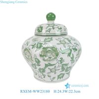 RXEM-WW23180  Jarre générale en porcelaine verte avec motif de fleurs et de feuilles, jarre décorative en céramique antique chinoise