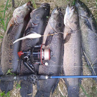 Lot de 5 leurres souples Shad à queue fendue de 12 cm en TPE, action nageuse réaliste, pour la pêche en eau salée et douce