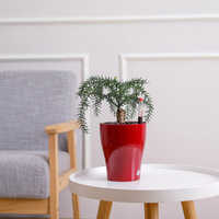 Petit pot de fleurs automatique à absorption d'eau, écologique, style nordique minimaliste, pour la maison, le jardin, le salon, le balcon, la plantation