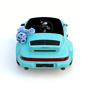 Precio de Descuento P964 Go Karts Monoplaza 72V, Carro Eléctrico Personalizado, Compra Directa de Fábrica al por Mayor - Product Image 2