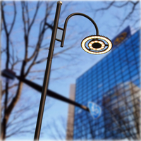 Lampu Taman Cincin Ganda Pencahayaan Lanskap Perkotaan Daya Tahan Tinggi 60w 100w 150w