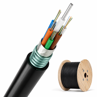 Câble à fibre optique blindé extérieur GYTA 2 fibres à tube lâche G.652D/G.657A1 pour réseaux de télécommunications/FTTx/ISP