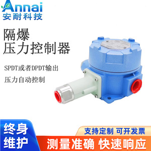 Pressostat à filetage G1/2, corps en plastique, IP65, antidéflagrant, pour fluides gazeux - Product Image 5