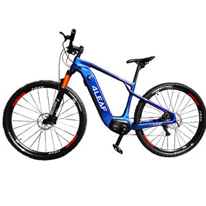 Vélo électrique 350w Cadre de vélo Capteur de couple <span class=keywords><strong>Vinka</strong></span> 250W Cadre de vélo en fibre de carbone pour homme Cadre de VTT en carbone E21 - Product Image 6