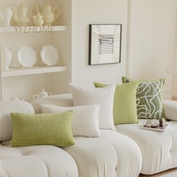 Lumière verte personnalisée luxe carré canapé housse de coussin confortable moelleux oreiller en peluche pour la décoration de la maison tissé techniques