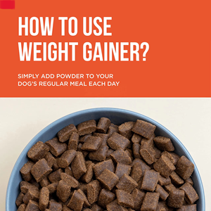 Suplementos Herbales <span class=keywords><strong>para</strong></span> Articulaciones y Huesos <span class=keywords><strong>de</strong></span> <span class=keywords><strong>Mascotas</strong></span> Directo <span class=keywords><strong>de</strong></span> Fábrica, OEM Personalizado, Venta al por Mayor, Pedidos al por Mayor en Contenedores Completos Listos <span class=keywords><strong>para</strong></span> Envío - Product Image 6