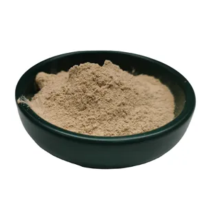 Polvere di estratto di radice di Ginseng di grado superiore polvere di Ginseng rosso coreano naturale