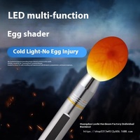 Lampe d'inspection LED rechargeable pour œufs, état neuf, lumière froide, pour machine à couver