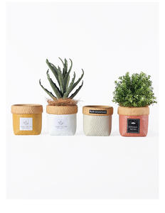 Suministros <span class=keywords><strong>de</strong></span> jardín productos al por mayor maceta <span class=keywords><strong>de</strong></span> flores <span class=keywords><strong>para</strong></span> interiores y exteriores bolsa <span class=keywords><strong>de</strong></span> <span class=keywords><strong>tela</strong></span> pequeña maceta <span class=keywords><strong>de</strong></span> cerámica <span class=keywords><strong>macetas</strong></span> <span class=keywords><strong>de</strong></span> cemento - Product Image 5