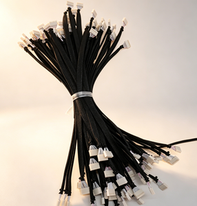 맞춤형 OEM/ODM JST/Molex 와이어 하네스 (PTFE/PVC 절연, 전자 제품용, 2-12핀 커넥터) - Product Image 1
