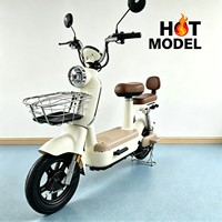Vente directe des fabricants de vélos électriques, e-bikes transfrontaliers, avec batterie 48V, super vélos électriques