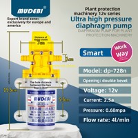 Fournisseur direct d'usine MUDEBI Série d'exportation Pompe à diaphragme à reflux externe Intelligente Haute pression 0,68 MPa Pulvérisateur électrique