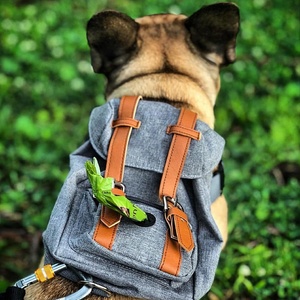 Cute Pet <b>Backpack</b> <b>Large</b>-capacity Dog Snack Bag Puppy Portable School Bags Convenient for Small Medium Dogs - Product Image 5