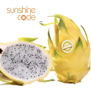Sunshine kode naga segar peringkat buah dijual naga kuning buah dari thailand naga tropis buah