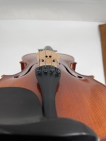 Adult Violin All Solid Wood Violin Profesional with Case