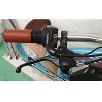 Vélo électrique en alliage d'aluminium de style européen avec pneu de 4,0 [FP-EB-LMT19002]