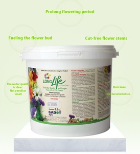 Israel Flower Life floristería de barril conservantes especiales de flores frescas - Product Image 3