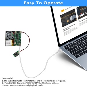 8MB nút nhấn ghi âm giọng nói tùy chỉnh USB lập trình Ghi âm giọng nói âm thanh Mô-đun Chip cho thiệp chúc mừng và quà tặng - Product Image 2