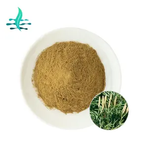 High Quality Lycopodium Spore Powder 1.3% 2.5%