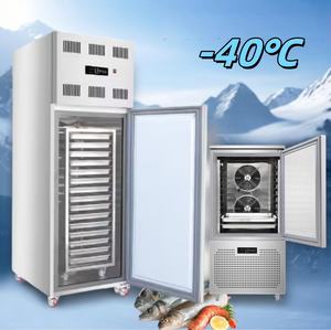 Congélateur-chiller industriel à <span class=keywords><strong>coffre</strong></span> pour micro-plateaux de 5, 10, 12, 3, 7, 15, 30 compartiments, pour usage domestique, pour poulet et volailles congelés, à vendre - Product Image 5