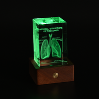 Cube de squelette anatomique humain gravé au laser 3D en cristal transparent, modèle de statue, presse-papiers, anatomie, neurologie, sciences médicales