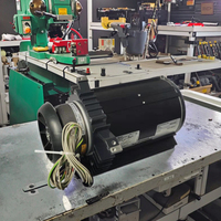 Moteur de palan à chaîne SWF MF10EB104-153P85020E-IP55 52306669 Utilisé pour le levage de grues Garantie 1 an