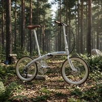 Vélo pliable 451 20 pouces avec pneus, Shimano 10 vitesses, cassette 11-34T, freins à disque hydrauliques, vélo pliant portable de qualité supérieure à faible coût