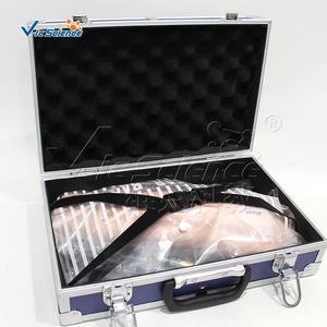 Modèle d'entraînement à la ponction veineuse pour les mains et les bras, modèle d'enseignement des sciences médicales - Product Image 5