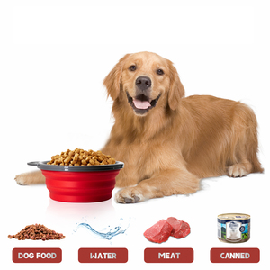 Tazón Plegable <span class=keywords><strong>para</strong></span> Perros <span class=keywords><strong>de</strong></span> Alimentación Lenta, Tazón <span class=keywords><strong>para</strong></span> <span class=keywords><strong>Mascotas</strong></span> <span class=keywords><strong>de</strong></span> Gran Capacidad Anti-Engolpes, Fácil <span class=keywords><strong>de</strong></span> Guardar y Transportar <span class=keywords><strong>para</strong></span> Viajes y el Hogar - Product Image 4