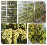Industriële Groenten En Fruit Drogen Machine Gedroogde Olijven Druif Aardbei Vijgen Wassen En Drogen Productielijn