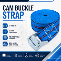 Sangle d'arrimage durable de 2 pouces avec boucle à came en alliage de zinc et sangle en PP pour la sécurisation des marchandises, certifiée ISO 9001