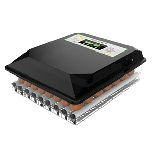 2023 Incubatrice Automatica a Temperatura Controllata per <span class=keywords><strong>Uova</strong></span> di Galline Ovaiole - Product Image 2