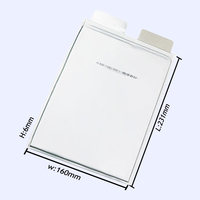 Batterie cellulaire NMC de qualité supérieure en promotion Farasis P32 3.7V 32Ah