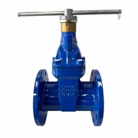 Vanne à opercule à siège souple à bride DN100 DIN3352 PN16 en fonte GGG50, actionnée hydrauliquement pour l'eau, l'huile et le gaz, avec garantie de 3 ans