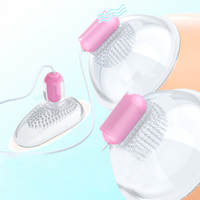 Stimulateur de mamelons sans fil pour femmes, ventouses, masseur de poitrine, jouets sexuels rechargeables par USB