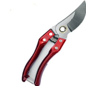 <span class=keywords><strong>2021</strong></span> <span class=keywords><strong>Ronix</strong></span> Jardin Outil À Main Ensemble Modèle RXSJ-5007 Enfants Outils De Jardinage - Product Image 1