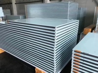 Panel Sandwich Rock Wool untuk Ruang Bersih, Papan Partisi Tahan Api untuk Fasilitas Industri