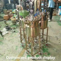 Réservoir sous pression en acier inoxydable 304 de 30 L avec moteur, cuve de mélange automatique pour machine de pulvérisation de peinture, encre, colle et revêtement – Approvisionnement direct usine