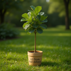 Ensemble de 3 pots de fleurs en céramique Mdj, ronds, noirs brillants, pour l'intérieur et l'extérieur, pots de fleurs modernes minimalistes pour la maison et le jardin - Product Image 2