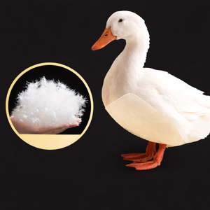 Plumas de Ganso Premium Certificadas RDS, Relleno Estándar Europeo de 850 FP para Chaquetas, Edredones y Rellenos de Almohadas - Product Image 5