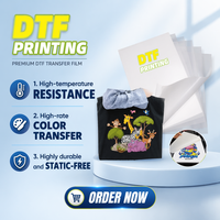 Film de transfert thermique DTF pour vêtements - Mat simple/double haute température, taux de transfert de 99 %, matériau PET