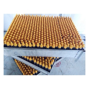 Liquide oral Power Spring OEM de haute qualité - Product Image 1