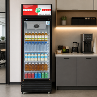 Réfrigérateur Vitrine Vertical pour Boissons Fraîches, Réfrigérateur de Supermarché