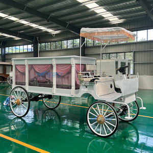 Élégante carrosse funéraire blanc personnalisé à vendre – Dernier modèle de carrosse à chevaux en métal et bois, style moderne - Product Image 3