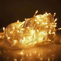 Wasserdichte LED-Lichterkette für den Außenbereich 10M 20M 30M 50M 100M Feiertagsdekoration IP44-Schutzklasse 220V Weihnachtsbeleuchtung 100 LEDs