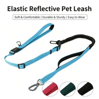 Laisse pour chien en nylon réfléchissante et anti-explosion, très vendue, pour chiens de grande, moyenne et petite taille, avec fil réfléchissant