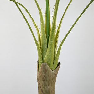 ต้นไทรบอนไซปลอม 3 ลำต้น ขนาด 150 ซม. ขายดี OH ARTS สำหรับตกแต่งภายในและภายนอกอาคาร - Product Image 2