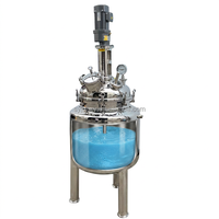 Réacteur de dispersion sous vide en acier inoxydable de 10 L pour le traitement chimique, machine de mélange