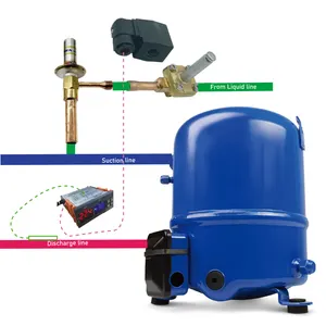 6HP universale iniezione di liquido soluzione di raffreddamento è stato progettato per il compressore funziona con capacità regolamentazione da parte di gas caldo bypass